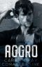 Aggro · an Emotional Forbidden Romance