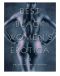 Best Black Women's Erotica 2