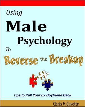 Using Male Psychology to Reverse the Breakup - Tips To Pull Your Ex Boyfriend Back