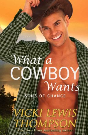 What a Cowboy Wants: Sons of Chance