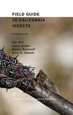 Field Guide to California Insects