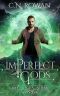 imPerfect Gods: A Darkly Funny Supernatural Suspense Mystery (The imPerfect Cathar Book 6)