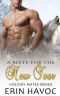 A MATE FOR THE NEW YEAR: Shifter Holiday Romance (Holiday Mates Book 3)