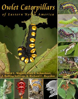 Owlet Caterpillars of Eastern North America