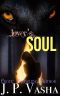 Lover's Soul · Werewolf Sexy Romance (Biwole Wolves Book 2)