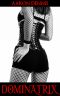 Dominatrix a Kink Erotica Story