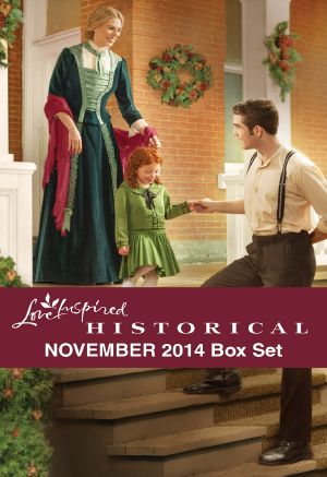 Love Inspired Historical November 2014