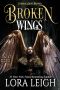 Broken Wings (The Chronicles of Brydon Book 1)