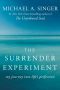 The Surrender Experiment · My Journey Into Life's Perfection