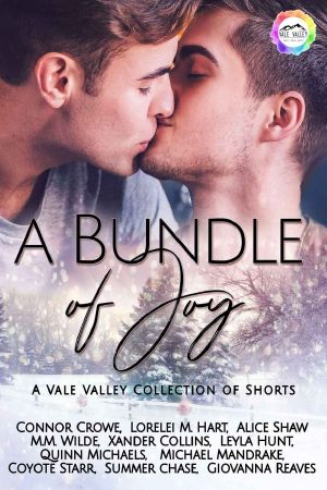 A Bundle of Joy · A Winter Romance