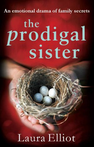 The Prodigal Sister · An Emotional Drama of Family Secrets