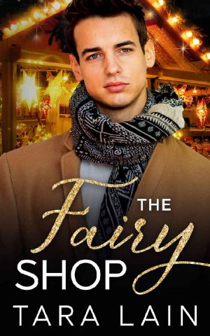 The Fairy Shop · A Single Dad, Small Town, Magical Shop, MM Romance