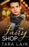 The Fairy Shop · A Single Dad, Small Town, Magical Shop, MM Romance