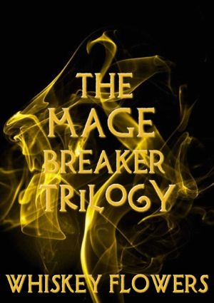 The Mage Breaker