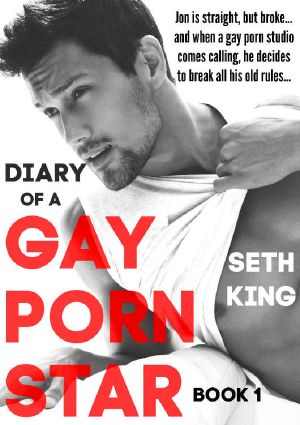 Diary of a Gay Porn Star