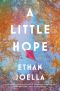 A Little Hope · A Novel