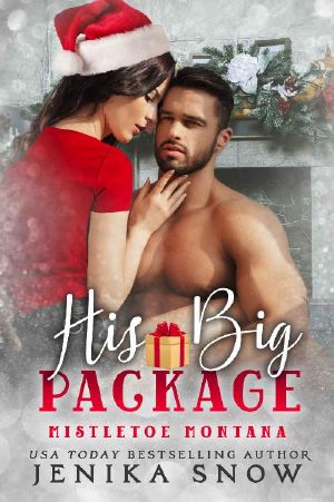 His Big Package (Mistletoe Montana, 4)