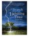 A Branch from the Lightning Tree