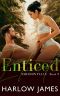 Enticed · Emerson Falls, Book 2 (Emerson Falls Series)