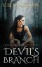 Devil's Branch: A Paranormal Investigator Urban Fantasy (Sunshine Walkingstick Book 5)