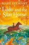 Ludo & the Star Horse