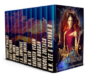 Magic Awakened · a Paranormal Romance Boxed Set