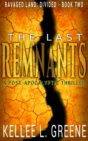 The Last Remnants - a Post-Apocalyptic Thriller (Ravaged Land · Divided Book 2)