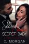 My Second Chance Secret Baby