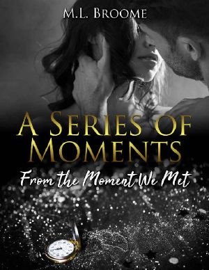 From the Moment We Met · A Modern Day Romance (A Series of Moments Book 1)