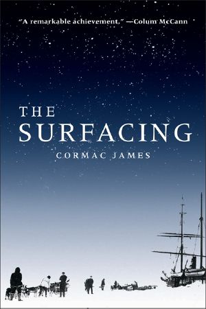 The Surfacing