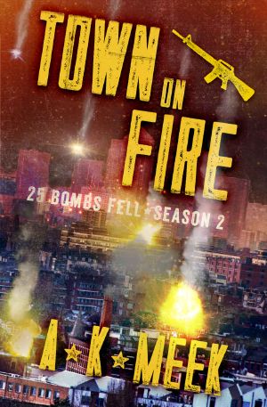 Town on Fire · A Post-Apocalyptic EMP Survival Series, 25BF Season 2 (25 Bombs Fell)