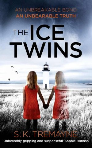 The Ice Twins