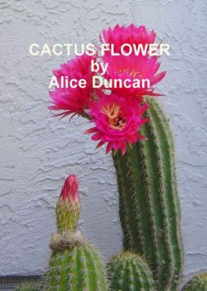 Cactus Flower