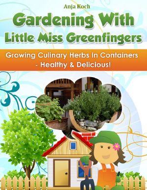 Growing Culinary Herbs in Containers