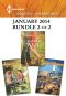 Harlequin Superromance January 2014 - Bundle 2 of 2 · A Ranch for His Family\Cowgirl in High Heels\A Man to Believe In