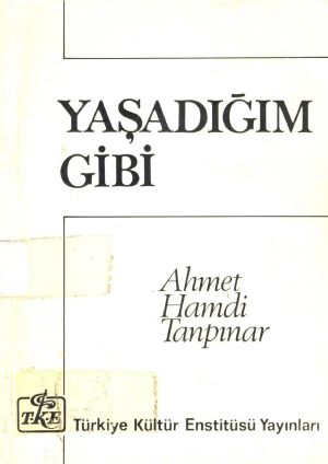 Yaşadığım Gibi