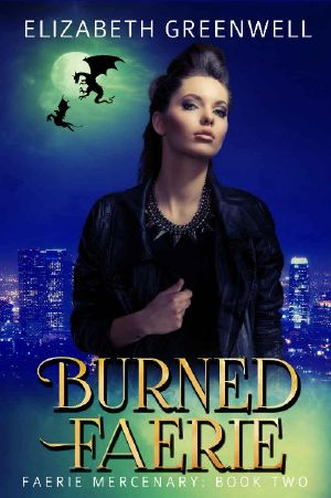 Burned Faerie (Faerie Mercenary Book 2)