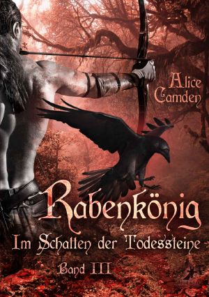 Rabenkönig - Im Schatten der Todessteine: Band 3 (German Edition)