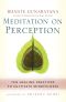 Meditation on Perception