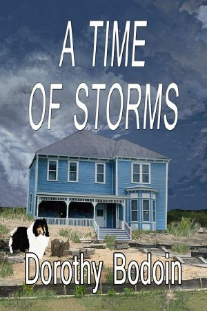 A Time Of Storms (The Foxglove Corners Series Book 8)