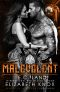 Malevolent (Raiders of Valhalla MC Book 3)