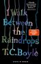 I walk between the Raindrops