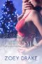 A Whiskey Run Christmas: A Steamy Holiday Novella