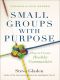 Small Groups With Purpose · How to Create Healthy Communities