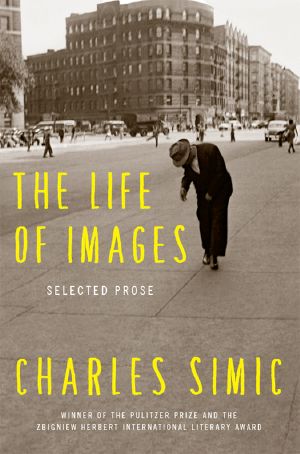 The Life of Images