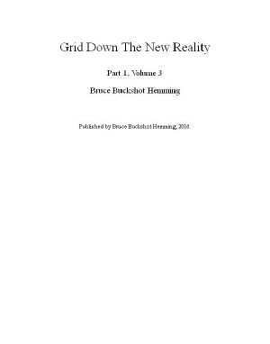 Grid Down the New Reality