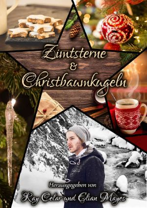 Zimtsterne & Christbaumkugeln (German Edition)