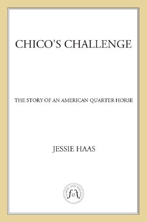 Chico's Challenge