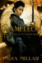 Chameleon · A Japanese Historical Fiction Novel (Warrior Woman of the Samurai Book 3)