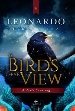 A Bird’s-Eye View · Aidan’s Crossing